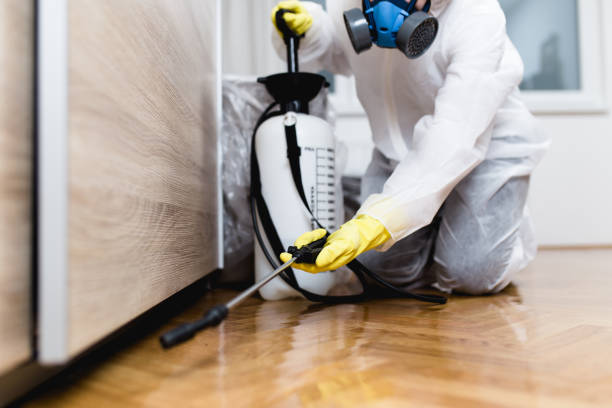 Pest Prevention Services in Rio, WI