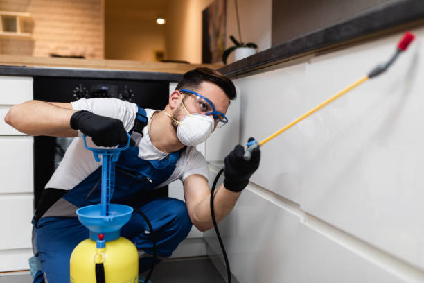 Best Termite Control Services  in Rio, WI