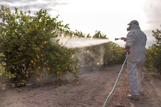 Best Pest Inspection Near Me  in Rio, WI