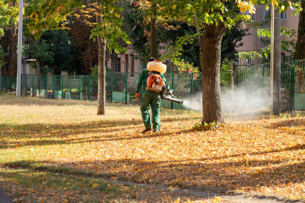 Pest Control for Restaurants in Rio, WI
